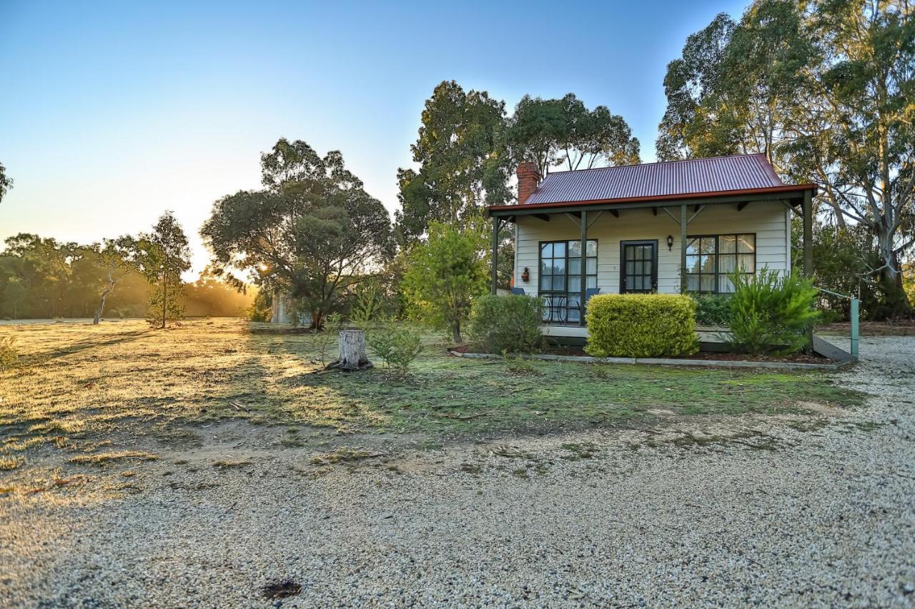 Motel Mountain View Motor &