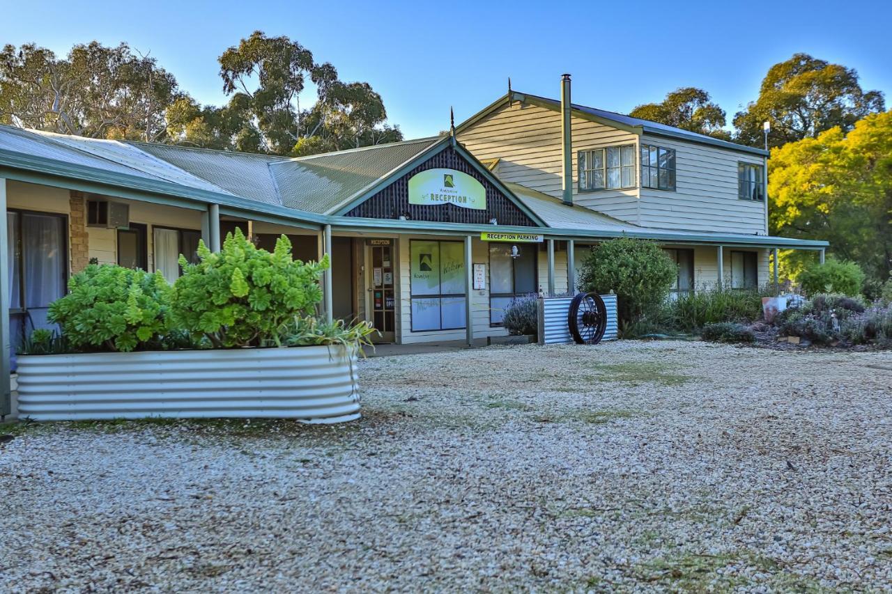 Motel Mountain View Motor &
